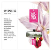 Asma Oto Kokusu - Optimistic