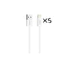 IP-08 USB iOS Kablo 5'li