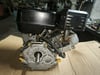 VANGUART - 4 HP - 3876 - TM KRANK MILI KAMALI