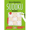 BICIRIK SUDOKU HAFIZA GÜÇLENDİREN BULMACA