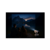 GLR PROJECTOR