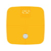 NAUTICA SMART TARTI GOLD