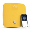NAUTICA SMART TARTI GOLD
