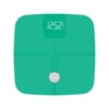 NAUTICA SMART TARTI GREEN