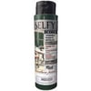 RICH SELFY DECOR 500 ML AMSTERDAM GREEN