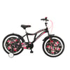 SALCANO BADBOY 20 BİSİKLET