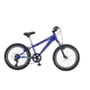 SALCANO LION 20 V BİSİKLET