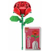 SUN-WOM-BLX-FLOWER SET 62-107-120-161-112-103PRÇ.6A.6D.-C0281