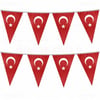 ÜÇGEN DİZİLİ KAĞIT BAYRAK 10 LU
