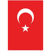 VATAN POLYESTER BAYRAK 70*105