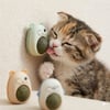 Kedi Otu Yalama Topu - CATNİP