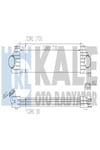 345035 Turbo Radyatoru Intercooler (RENAULT: MASTER İII / OPEL: MOVANO B 2.3 144960015R (WA863486)