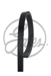 5pk1200 Kanalli Kayis 58381 ( Renault : Clio / Kangoo 1.5dci K9k Ac ) (WC892536)