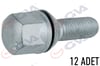 Bijon Civatası Renault 9-11 Pullu-Geomet Paket 12 Gva 8810119