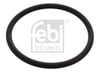 O Rıng Termostat İçin Amarok 4Motıon S1 Bora 1J Bora Iv Febı 17966