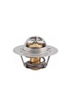 Oem:7700723945-9605028680-1338.83: Termostat R11-flash-r9-r19 Dzl