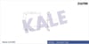 Radyatör P206 1.4-1.6 İe 1 Sıra Alb Sistem Kale 2038011Ab