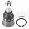 Rotil Delphı Tc4689