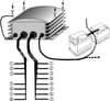 Voltaj Dönüştürücü Universal Cv 13011796-13011796-14480000-2808256-20223588-5010518194-99707006599-A0015451218---- Hella 5Ds008125001