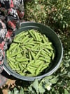 Ayıklanmış İç Bezelye (500gr)