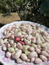Ayıklanmış Taze Barbunya 1 / Kg