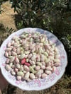 Ayıklanmış Taze Barbunya 1 / Kg