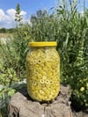 Dilimli Yeşil Zeytin (1300gr Net) Cam Şişe 1 Adet