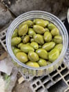 El Kırması Zeytin 1(kg)