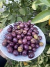 Gemlik Cins Çizik Zeytin 1(kg)