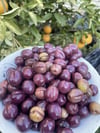 Gemlik Cins Çizik Zeytin 1(kg)