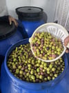 Gemlik Dilmesi Renkli Zeytin 1(kg)