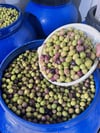 Gemlik Dilmesi Renkli Zeytin 1(kg)