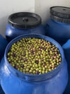 Gemlik Dilmesi Renkli Zeytin 1(kg)
