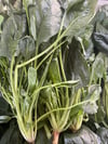 Ispanak 1 / Kg