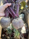 Kırmızı Pancar Katkısız Günlük Hasat 1(kg)