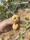 Küçük Boy Lüks İncir 1(kg)