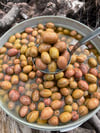 Milas Yerli Çizik Zeytin Zeytinyağlı 1 / Kg