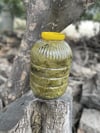Salamura Üzüm Asma Yaprağı 1 / Kg