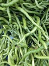 Tatlı Nazenin Biber 1 / Kg