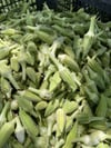 Taze Çorbalık Çiçek Bamya 1 / Kg