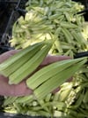 Taze İri Köy Bamyası 1 / Kg