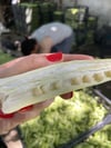 Taze İri Köy Bamyası 1 / Kg