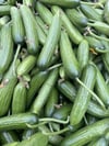 Taze Köy Salatası 1 / Kg