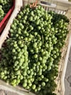 Taze Üzüm Koruk Ekşi 1 / Kg