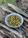 Yeni Kınalı Dilme Zeytin 1(kg)