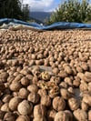 Yeni Mahsul Kabuklu Kuru Yerli Ceviz 10 / Kg