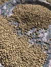 Yeni Mahsul Kuru Börülce 1 / Kg