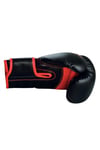 Adıh80 Hybrid80 Antrenman Boks Eldiveni Boxing Gloves