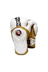 Tepito Muay Thai- Kick Boks, Bok Eldiveni dragon