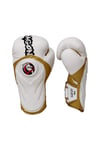 Tepito Muay Thai- Kick Boks, Bok Eldiveni dragon
